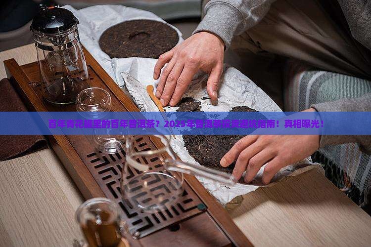百年青花罐里的百年普洱茶