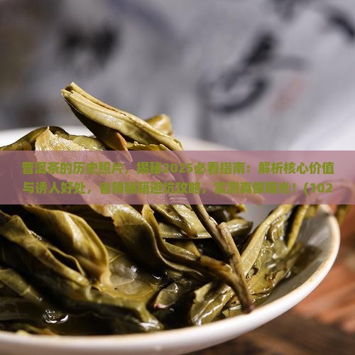 普洱茶的历史照片