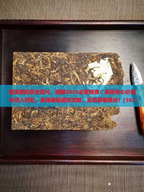 普洱茶的历史照片