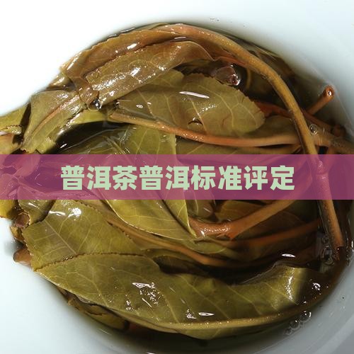 普洱茶评定标准