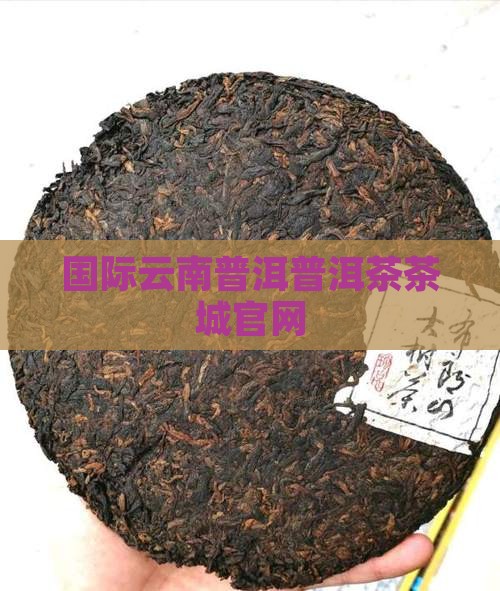 云南国际普洱茶城官网