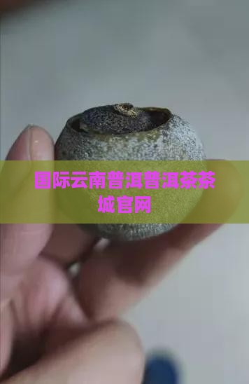 云南国际普洱茶城官网