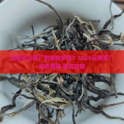 云南茶厂排名高黎贡山