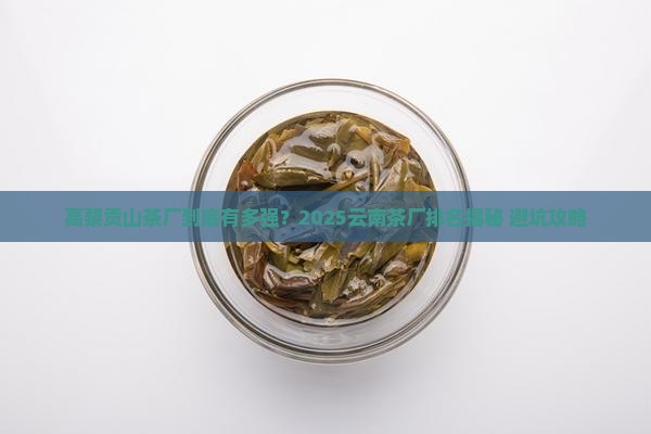 云南茶厂排名高黎贡山