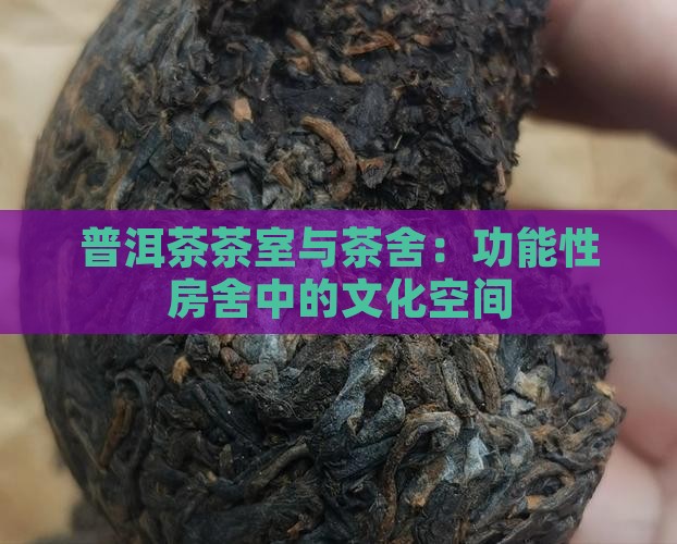 存普洱茶的茶室