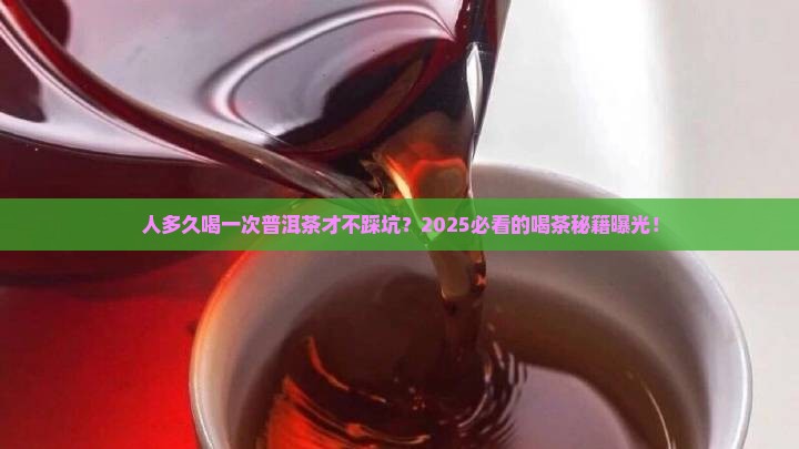 人多久喝一次普洱茶好呢