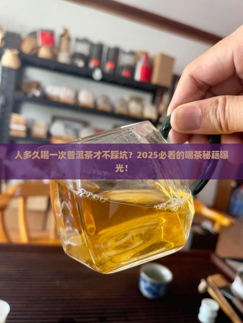 人多久喝一次普洱茶好呢
