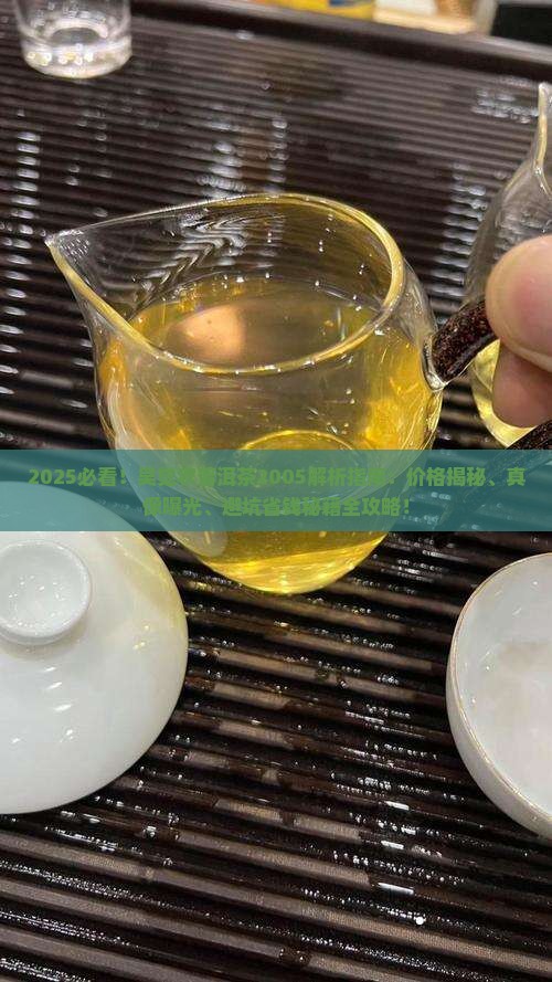 吴觉农普洱茶2005
