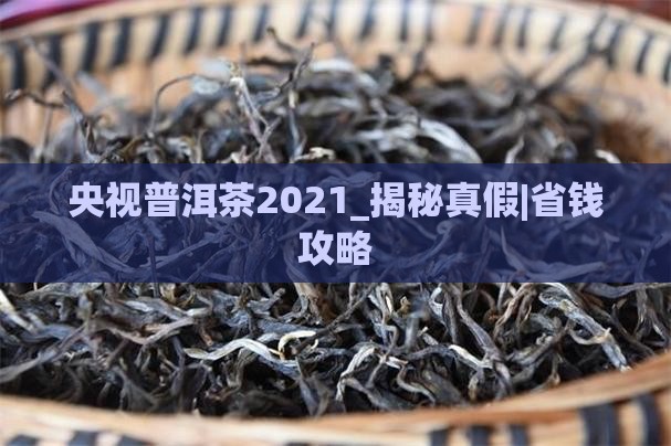 央视普洱茶2021