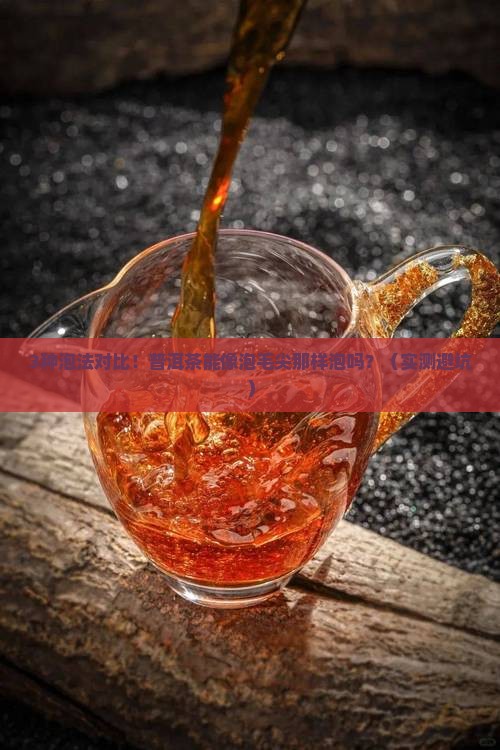普洱茶能像泡毛尖那样泡吗