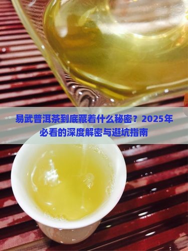 普洱茶易武特点