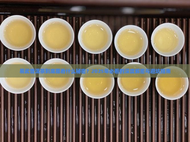 普洱茶易武特点
