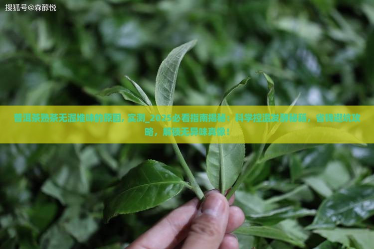 普洱茶熟茶无渥堆味的原因