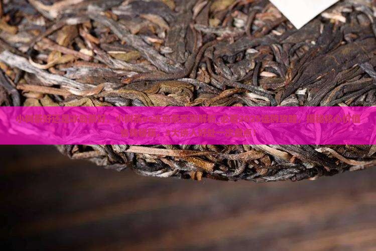 小树茶好还是冰岛茶好