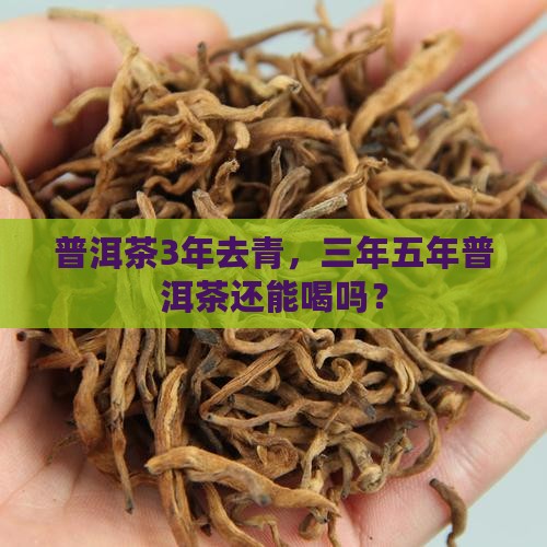 普洱茶3年去青