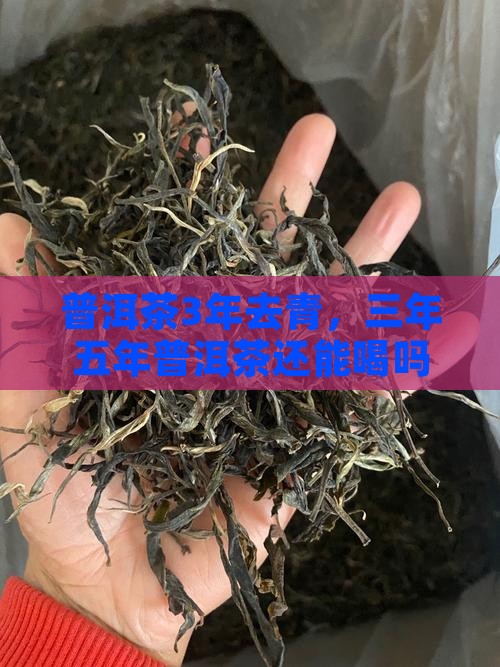 普洱茶3年去青