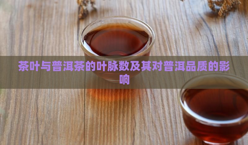 普洱茶的叶脉数