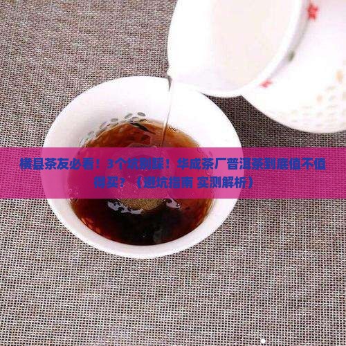 广西横县华成茶厂普洱茶