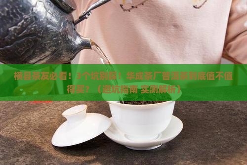 广西横县华成茶厂普洱茶