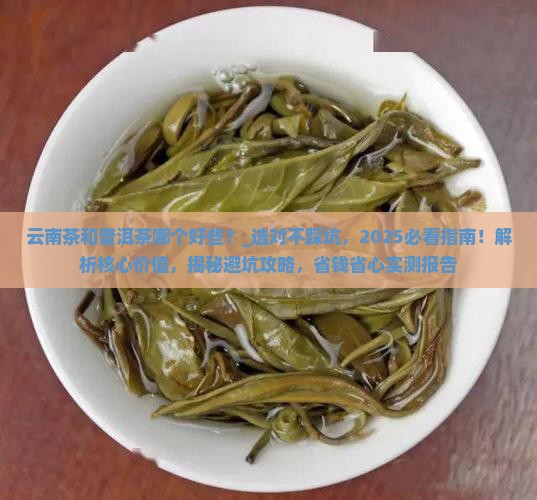 云南茶和普洱茶哪个好些