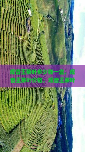 观音王茶叶多少钱 观音王茶叶多少钱