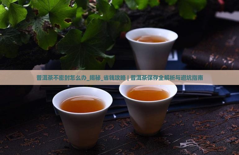 普洱茶不密封怎么办