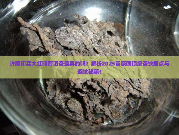 许家印买大红印普洱茶
