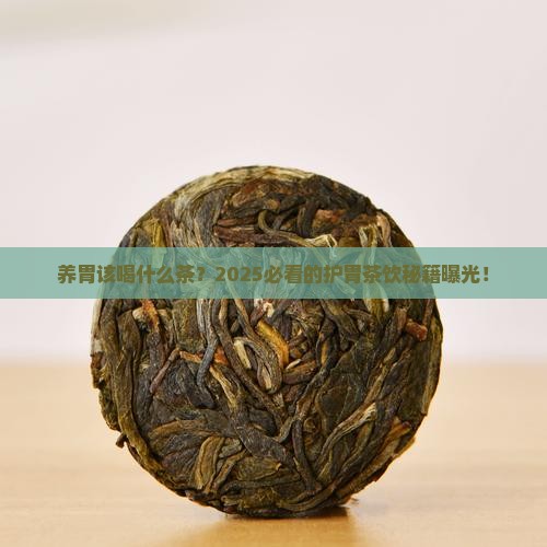 养胃和什么茶养胃护胃的茶