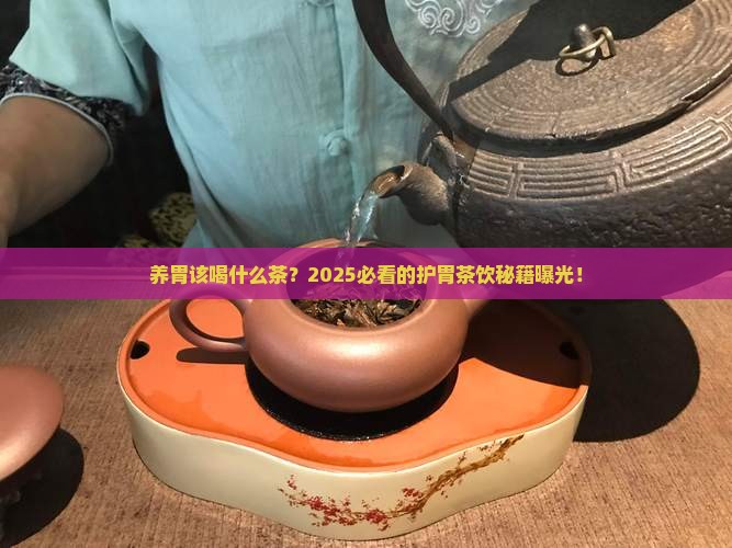 养胃和什么茶养胃护胃的茶