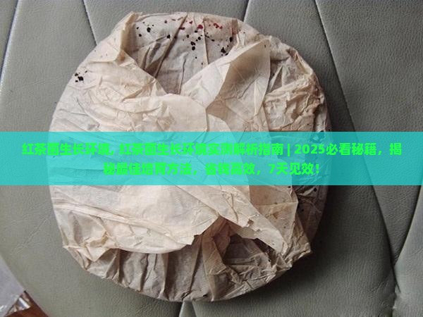 红茶菌生长环境