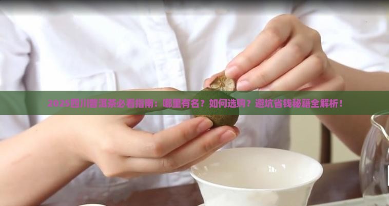 四川普洱茶哪里有名