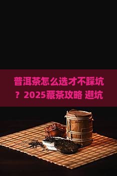 普洱什么茶适合购买藏
