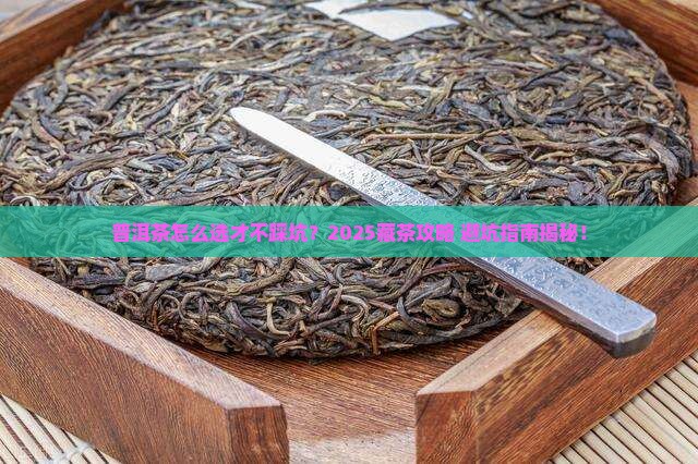 普洱什么茶适合购买藏
