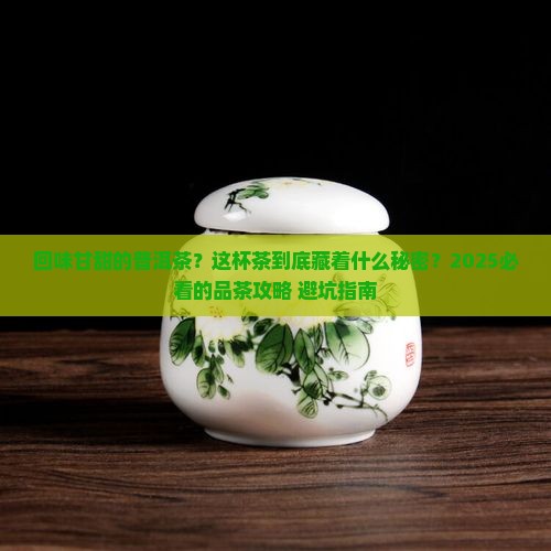 回味甘甜的普洱茶