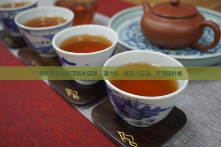 乔木春芽和普洱茶