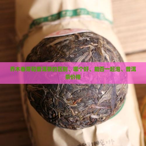 乔木春芽和普洱茶