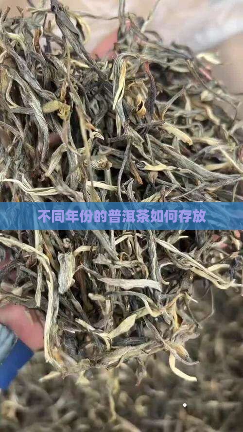 不同年份的普洱茶如何存放