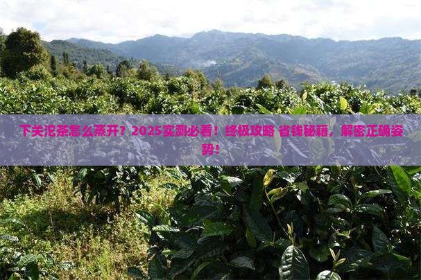 下关沱茶怎么蒸开