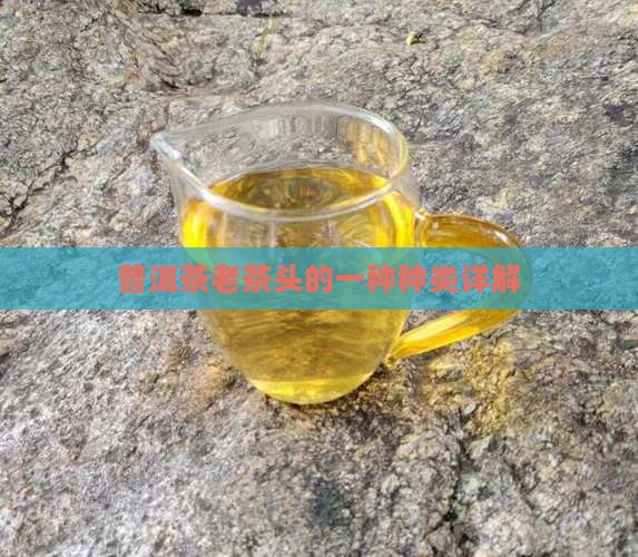 普洱茶老茶头种类