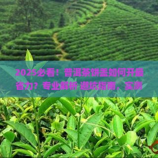 普洱茶如何开茶饼盖