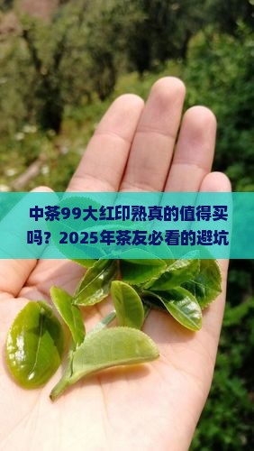 中茶99大红印熟