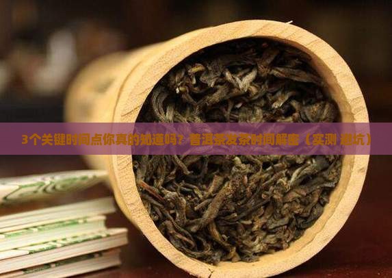 普洱茶发茶时间