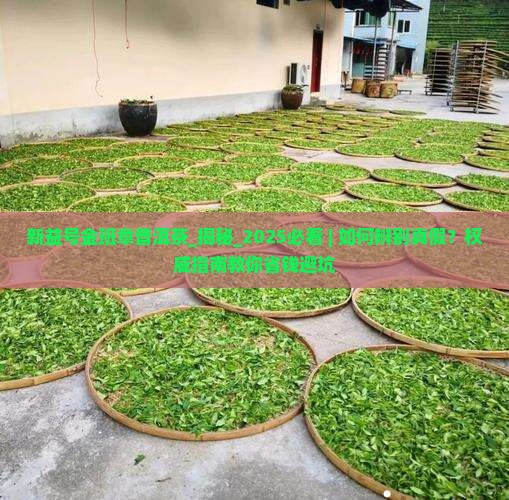 新益号金班章普洱茶