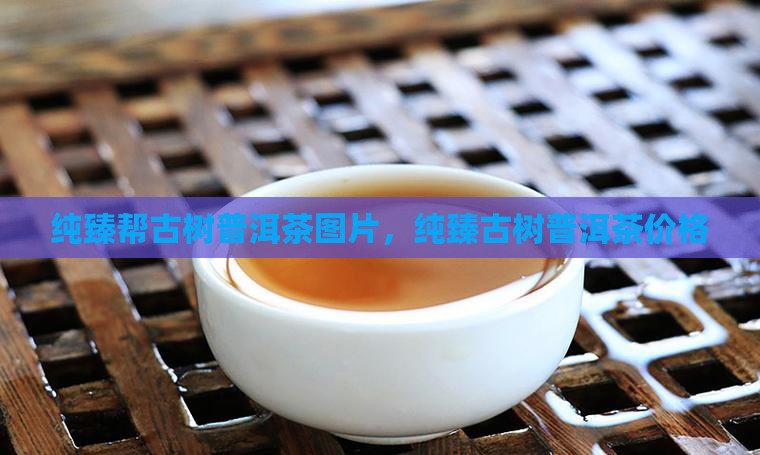 纯臻帮古树普洱茶