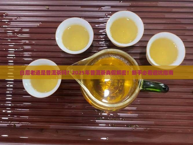 白眉老道是普洱茶吗