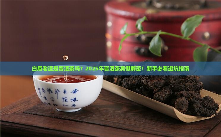 白眉老道是普洱茶吗