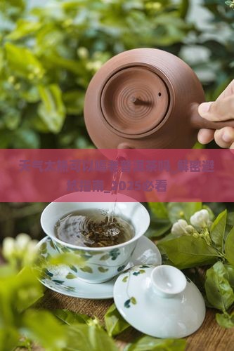 天气太热可以喝老普洱茶吗