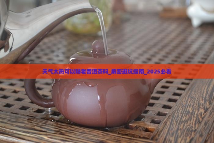天气太热可以喝老普洱茶吗