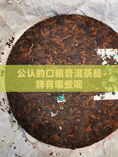 公认的口粮普洱茶品牌有哪些