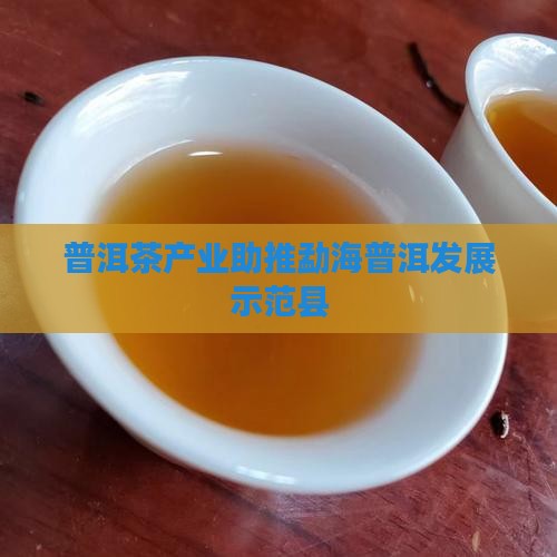 普洱茶现代产业示范县